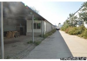 低价出手火热厂房