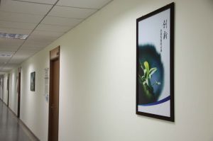 昌吉火车站仓储物流园厂房出租