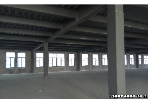 宝山智华园，多功能厂房，多规格选择，6900平米出租