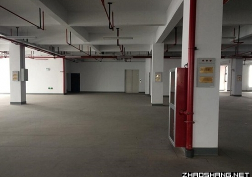 漕河泾【优质】办公楼800㎡出租