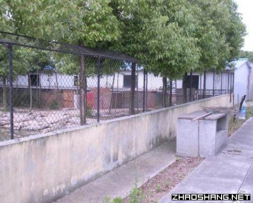 有迪斯尼旁的鳄鱼养殖场占地25亩出售