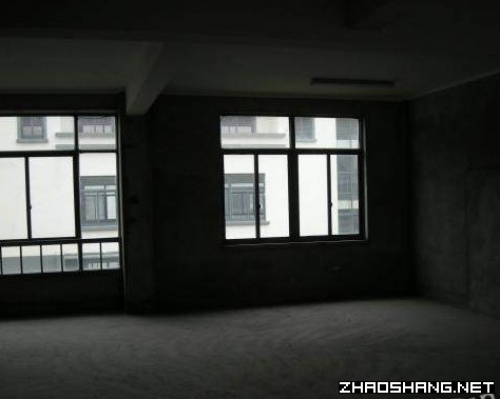 出售高铁亭林站边商住两用别墅厂房