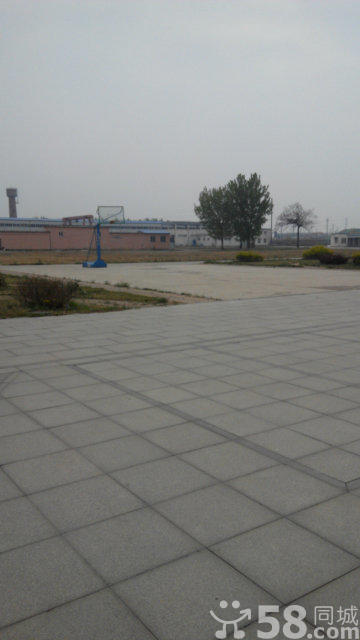 10000多平米土地出租(中介勿扰)